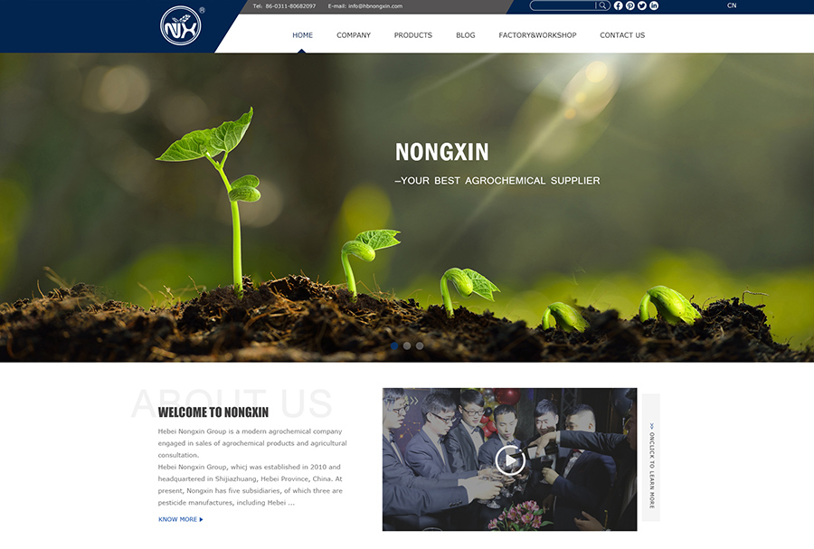 外貿建站 外貿建站