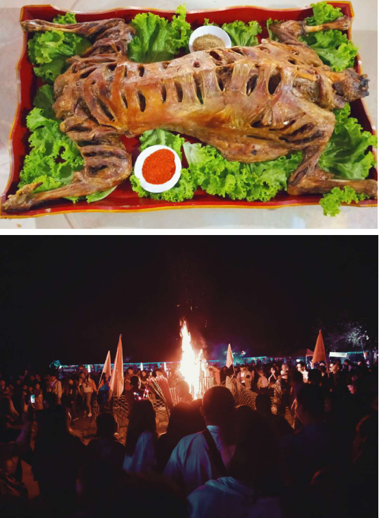 云程網絡草原之行 云程網絡草原之行