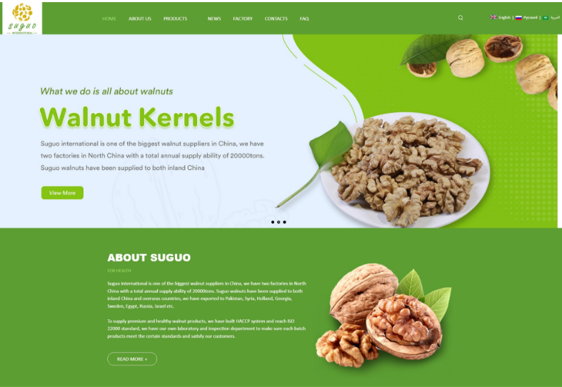 外貿網站建設 外貿網站建設