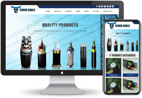 外貿獨立站建站 外貿獨立站建站